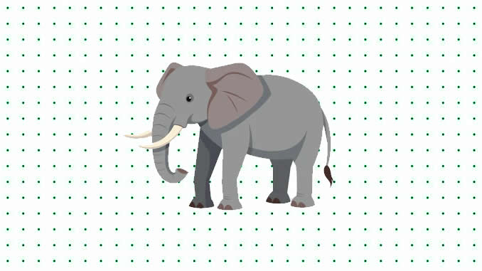 Desenhos de Elefante para colorir