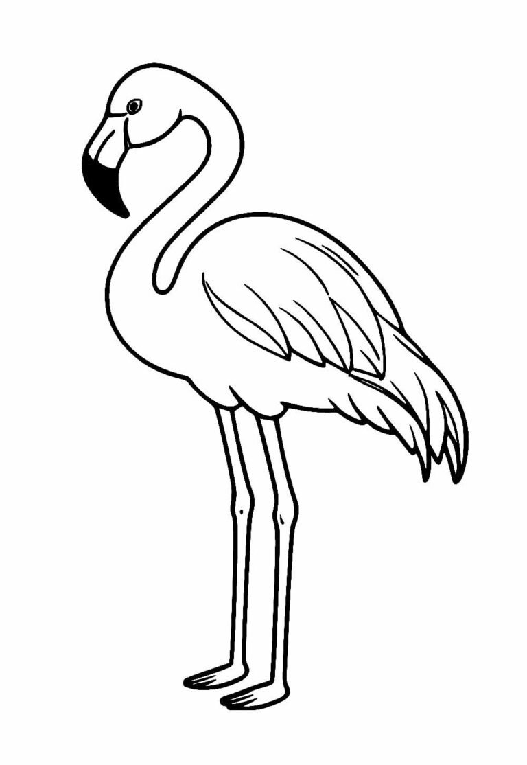 Desenhos de Flamingo para Colorir e Pintar - Tudo Para Colorir