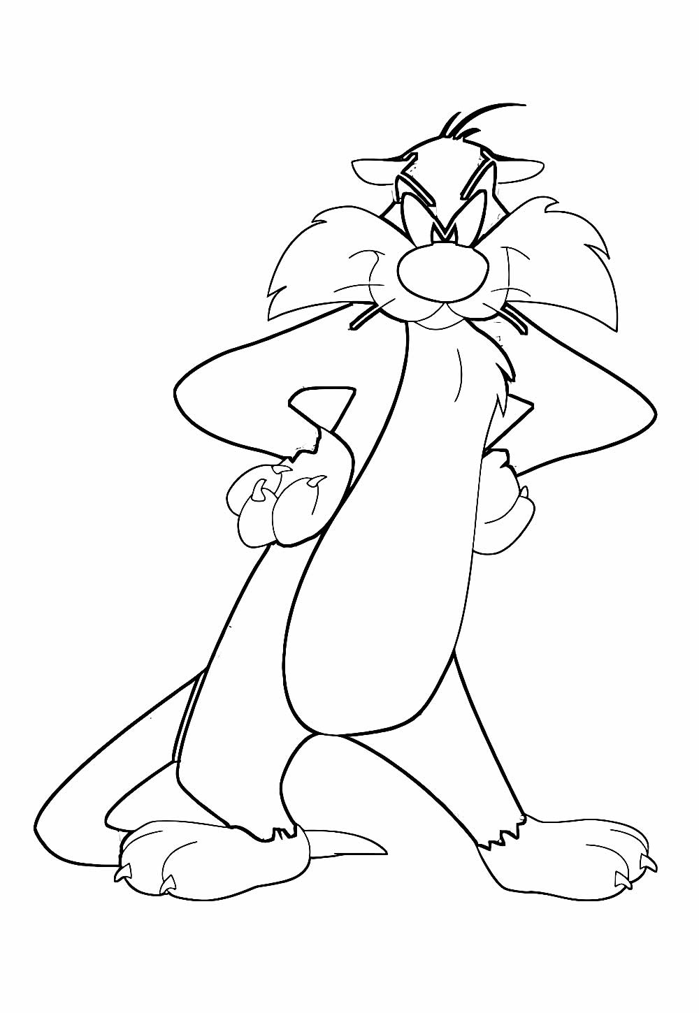 Desenhos Frajola Colorir