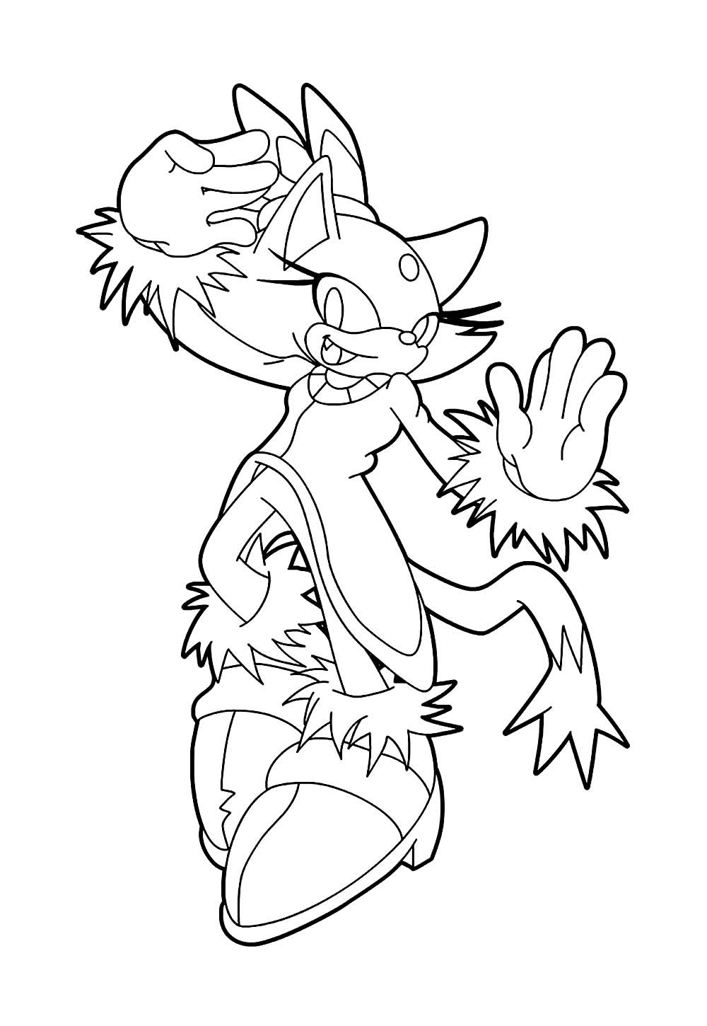 Desenho da Blaze the Cat