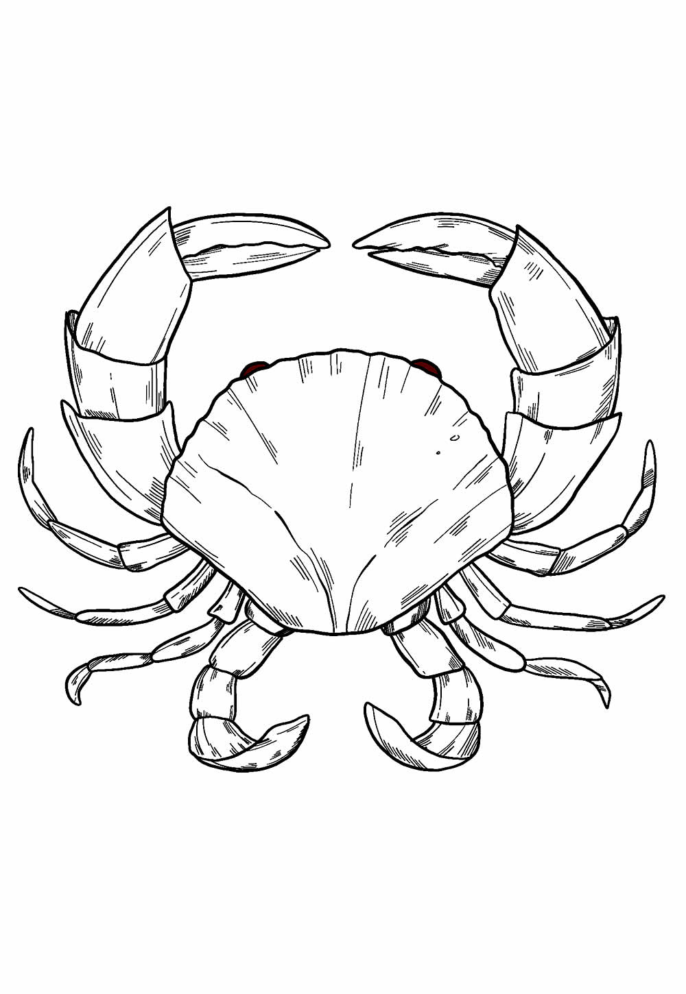 Desenhos de Caranguejo