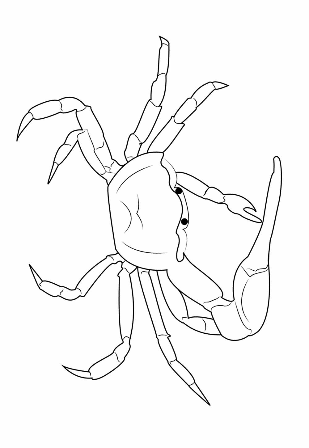 Desenho de Caranguejo para colorir