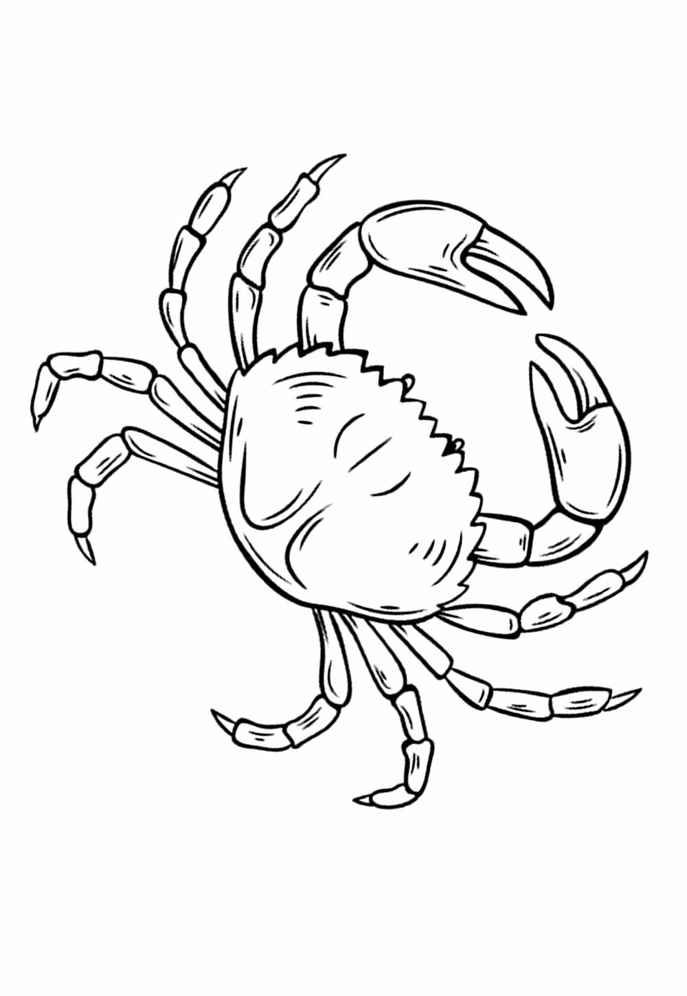 Desenhos de Caranguejo