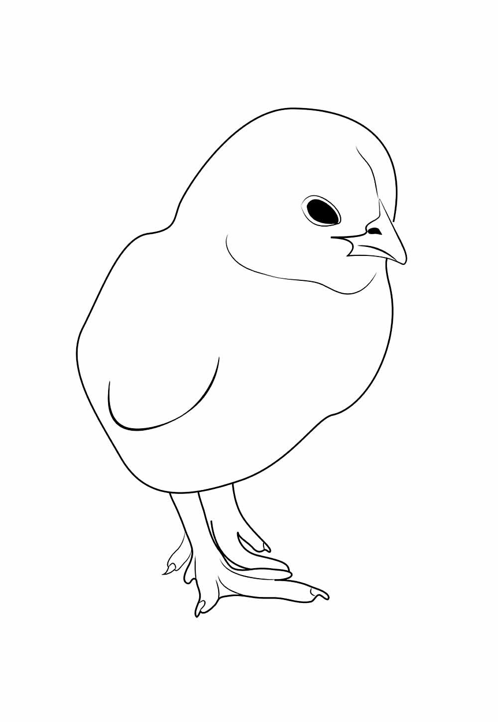 Desenhos de Pintinho para colorir e pintar