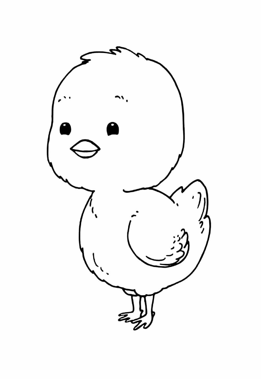 Desenho de Pintinho para colorir