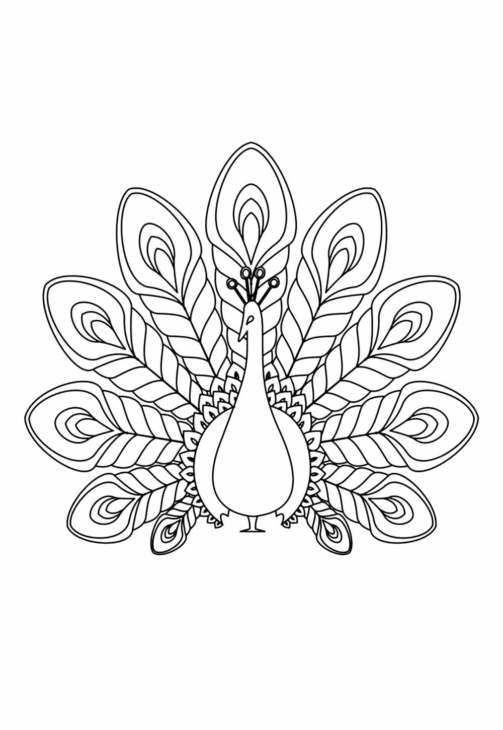 Pavão para colorir