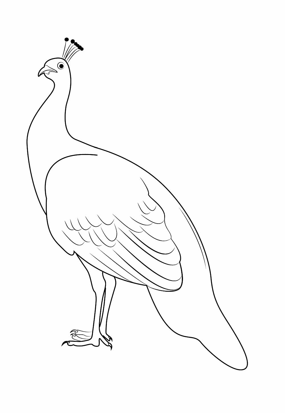 Desenho de Pavão para colorir