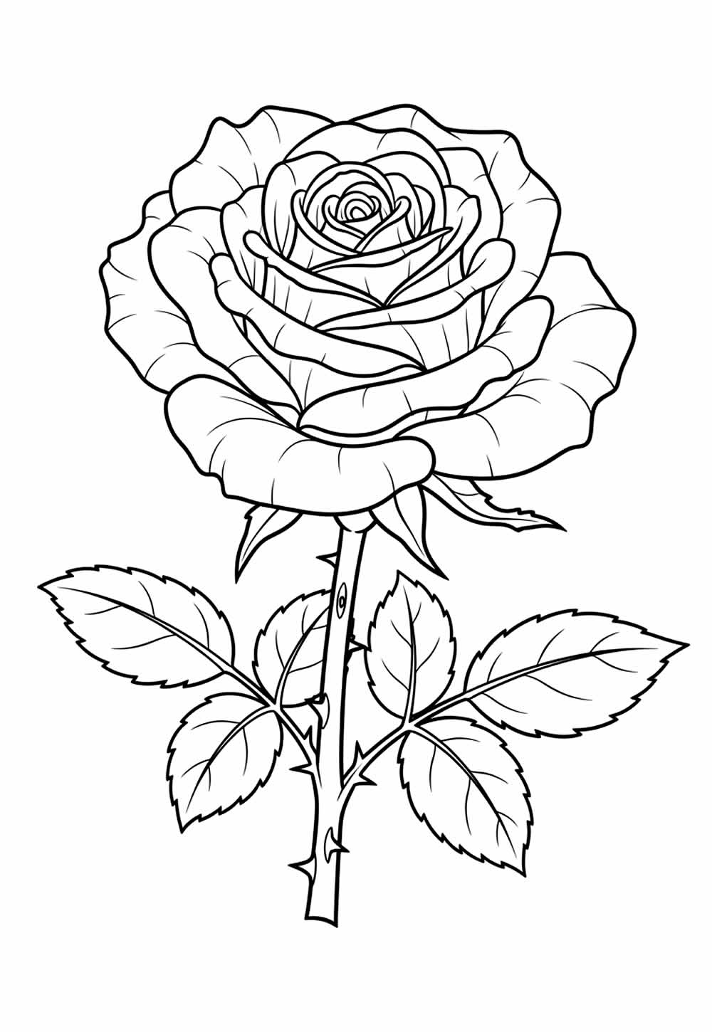 Desenho de Rosa para Colorir