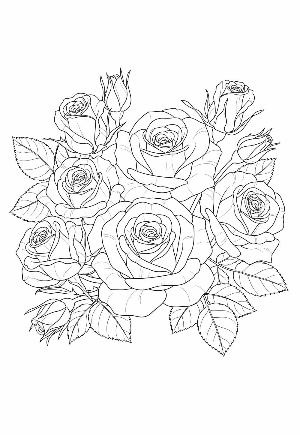 Desenho de Rosas