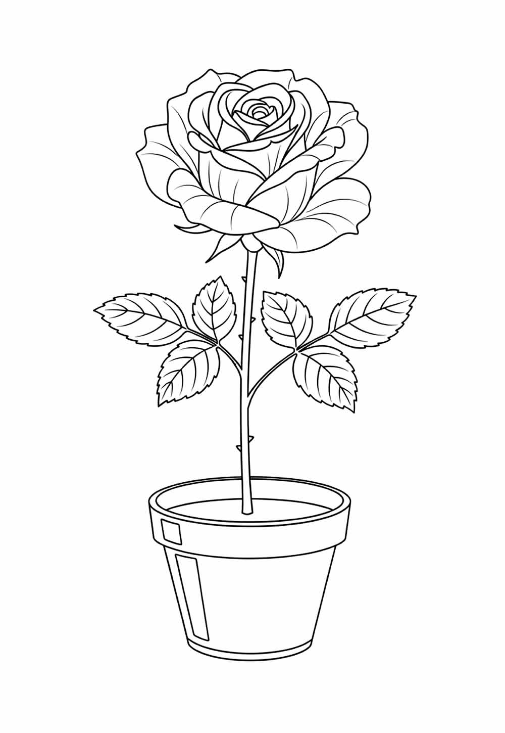 Desenhos Rosa Colorir