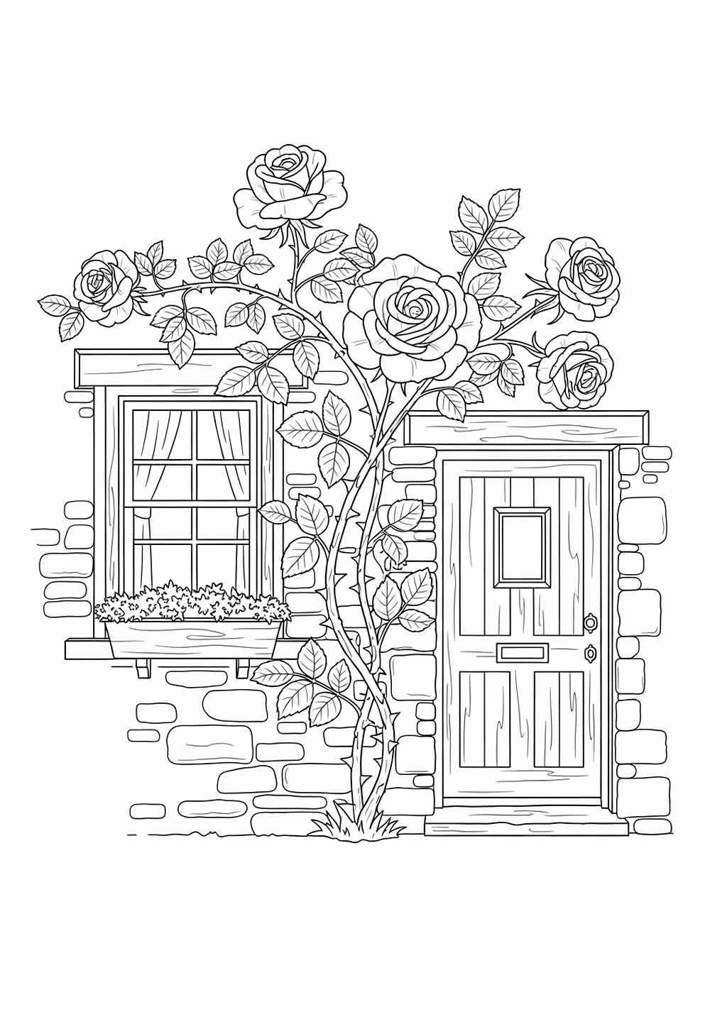 Desenhos de Rosa para colorir