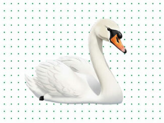 Desenhos de Cisne para colorir