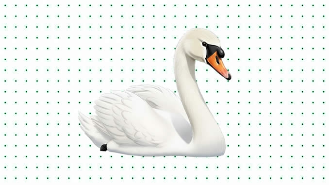 Desenhos de Cisne para colorir