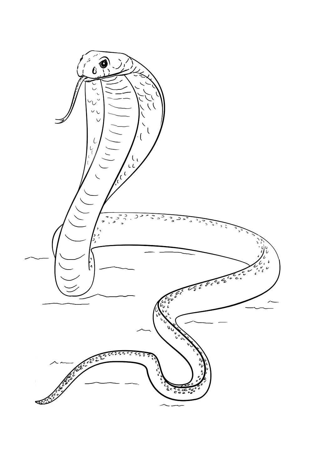 Desenho da Cobra Naja para colorir