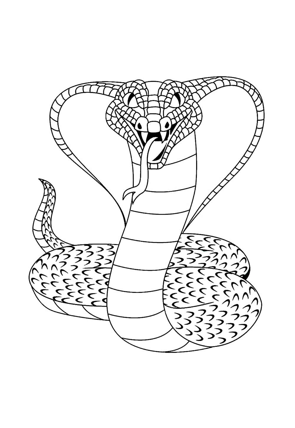 Desenho de Cobra Naja