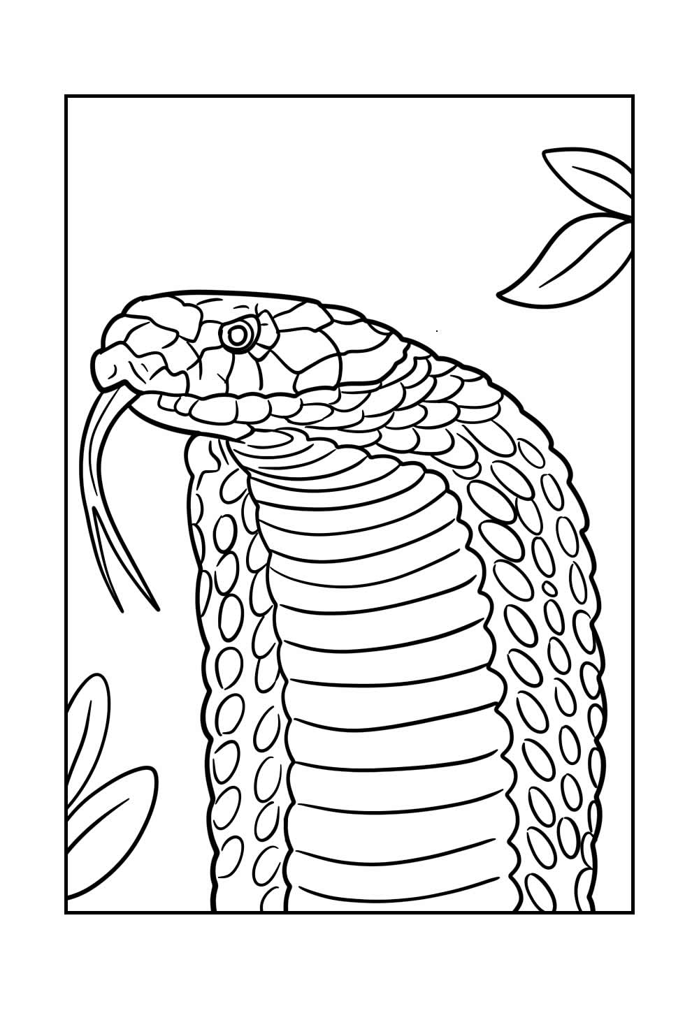 Desenho da Cobra Naja para colorir