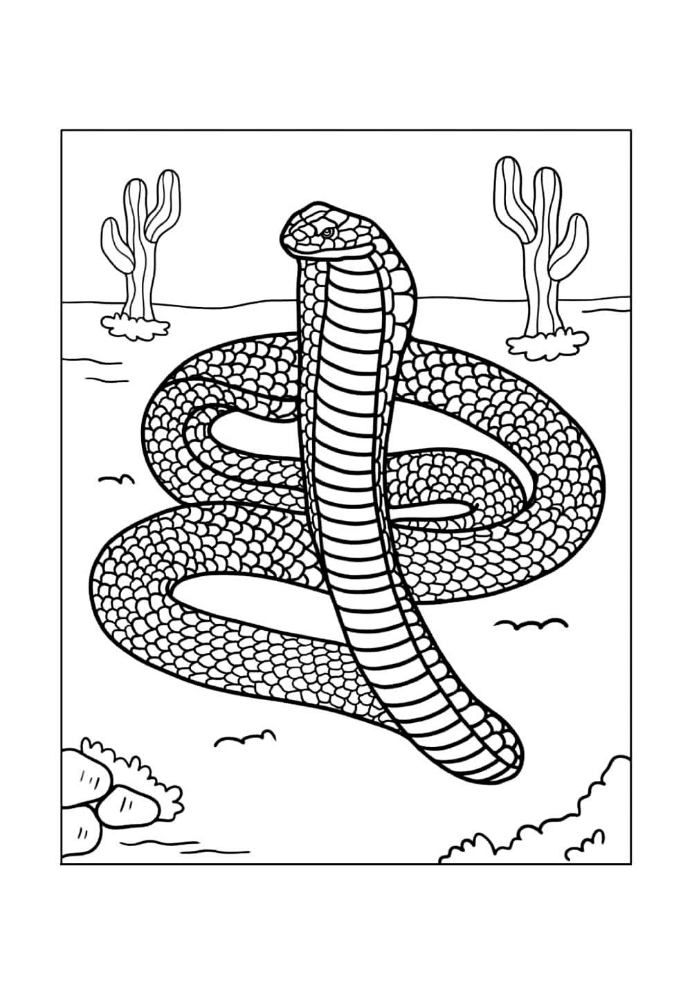 Desenho de Cobra no Deserto para colorir
