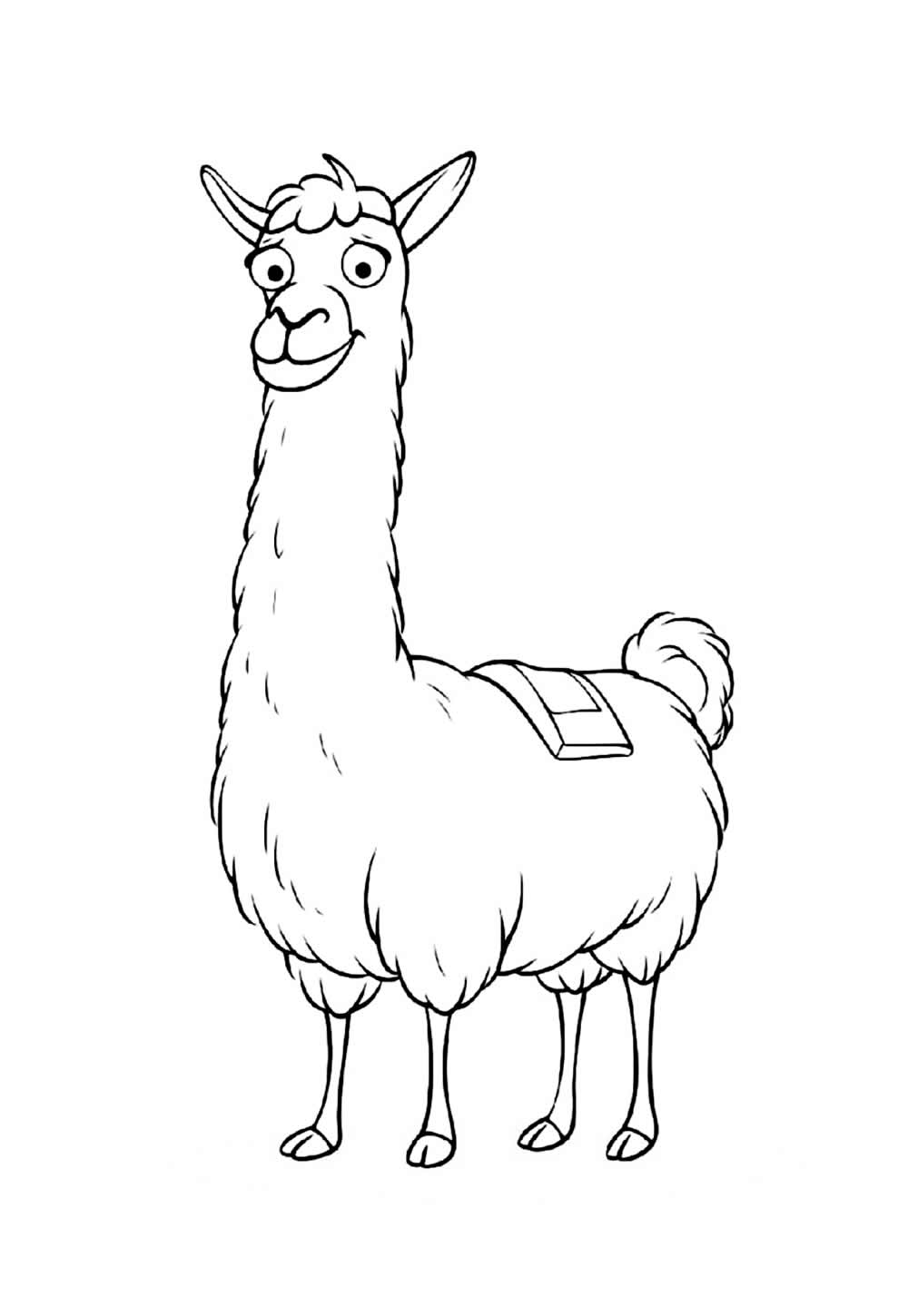 Desenho de Lhama para colorir