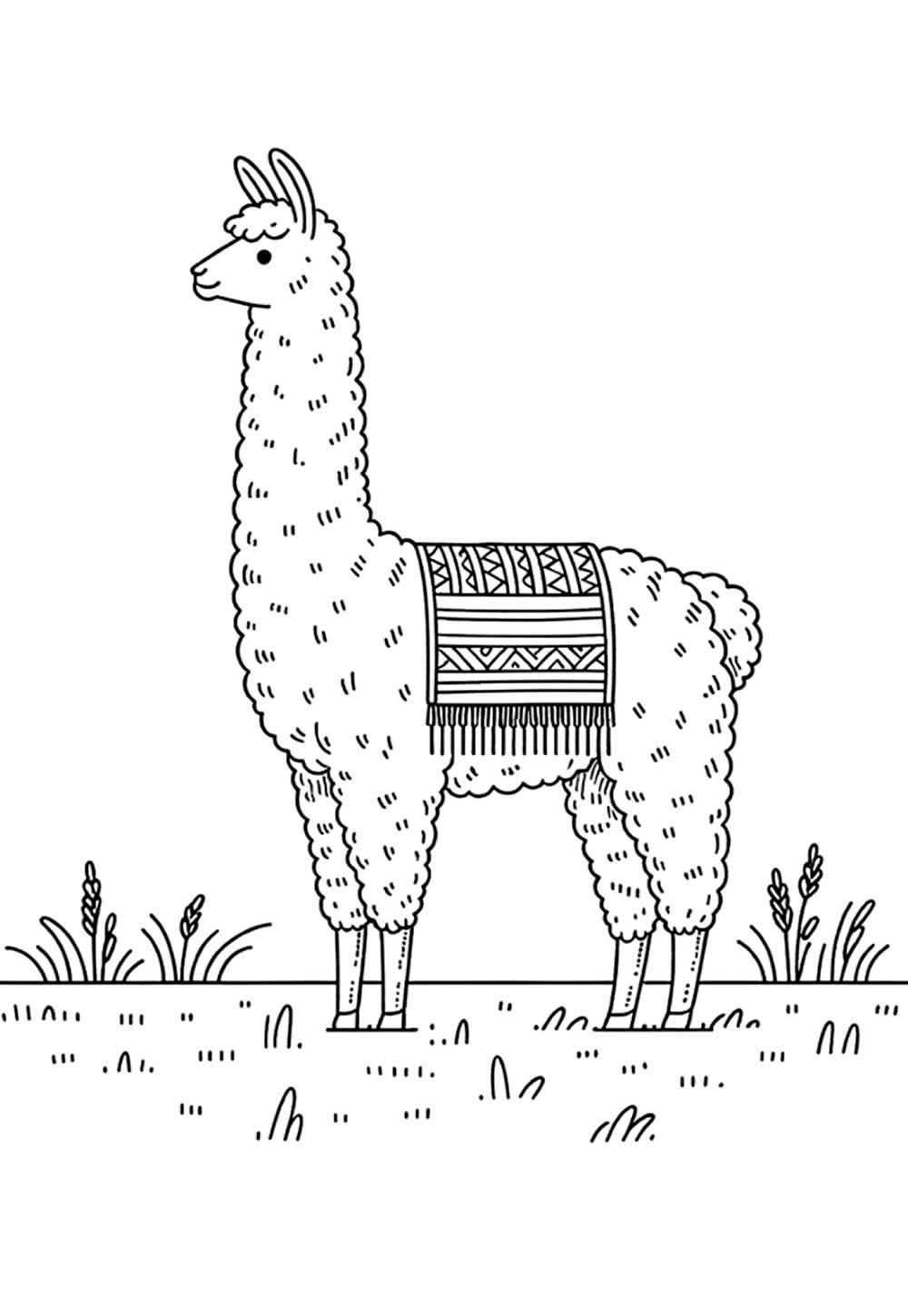 Desenho de Lhama para colorir