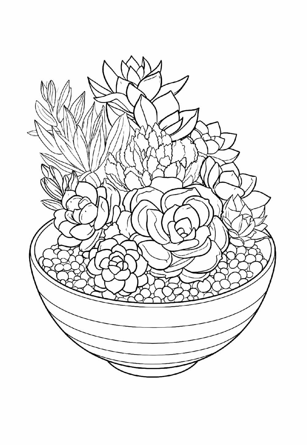 Desenhos de Suculentas