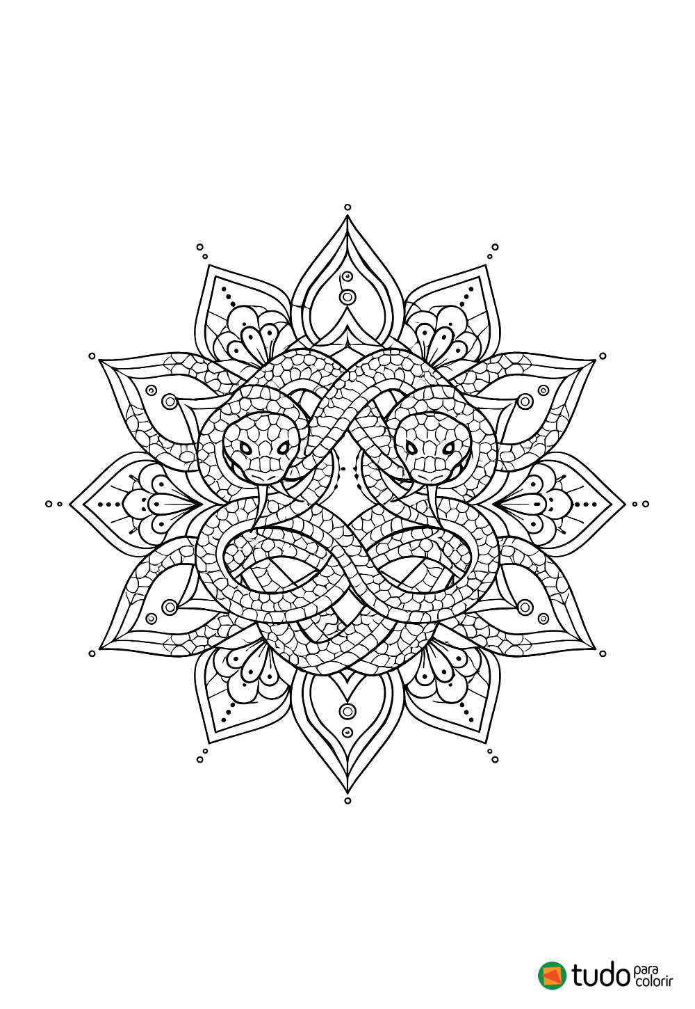 Desenhos de Mandala de Animal para imprimir - Cobra