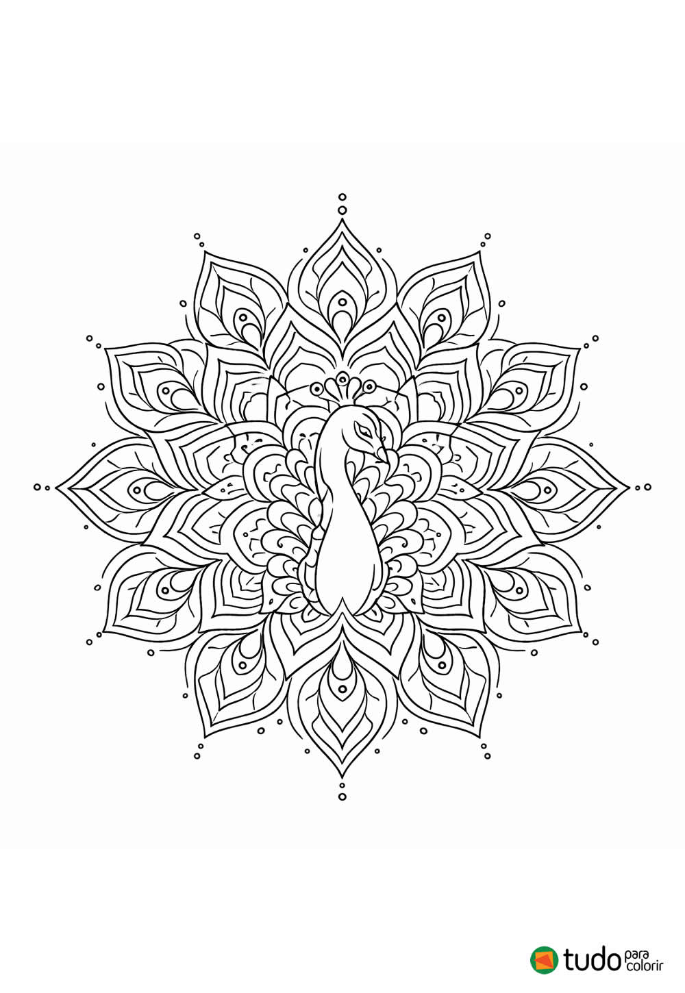 Desenho de Mandala de Pavão