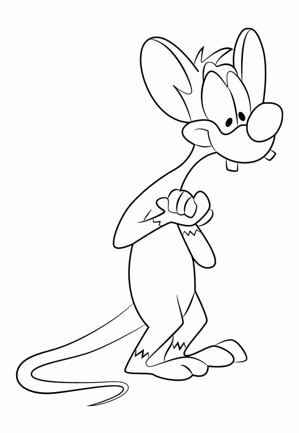 Desenho de Animaniacs para colorir