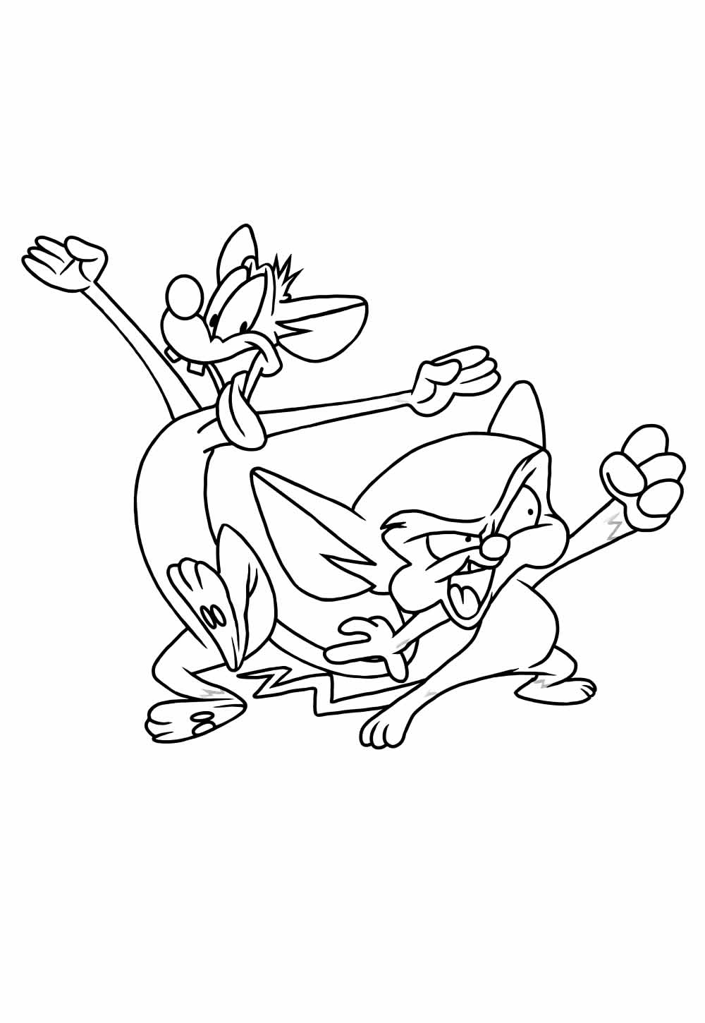 Desenho de Animaniacs