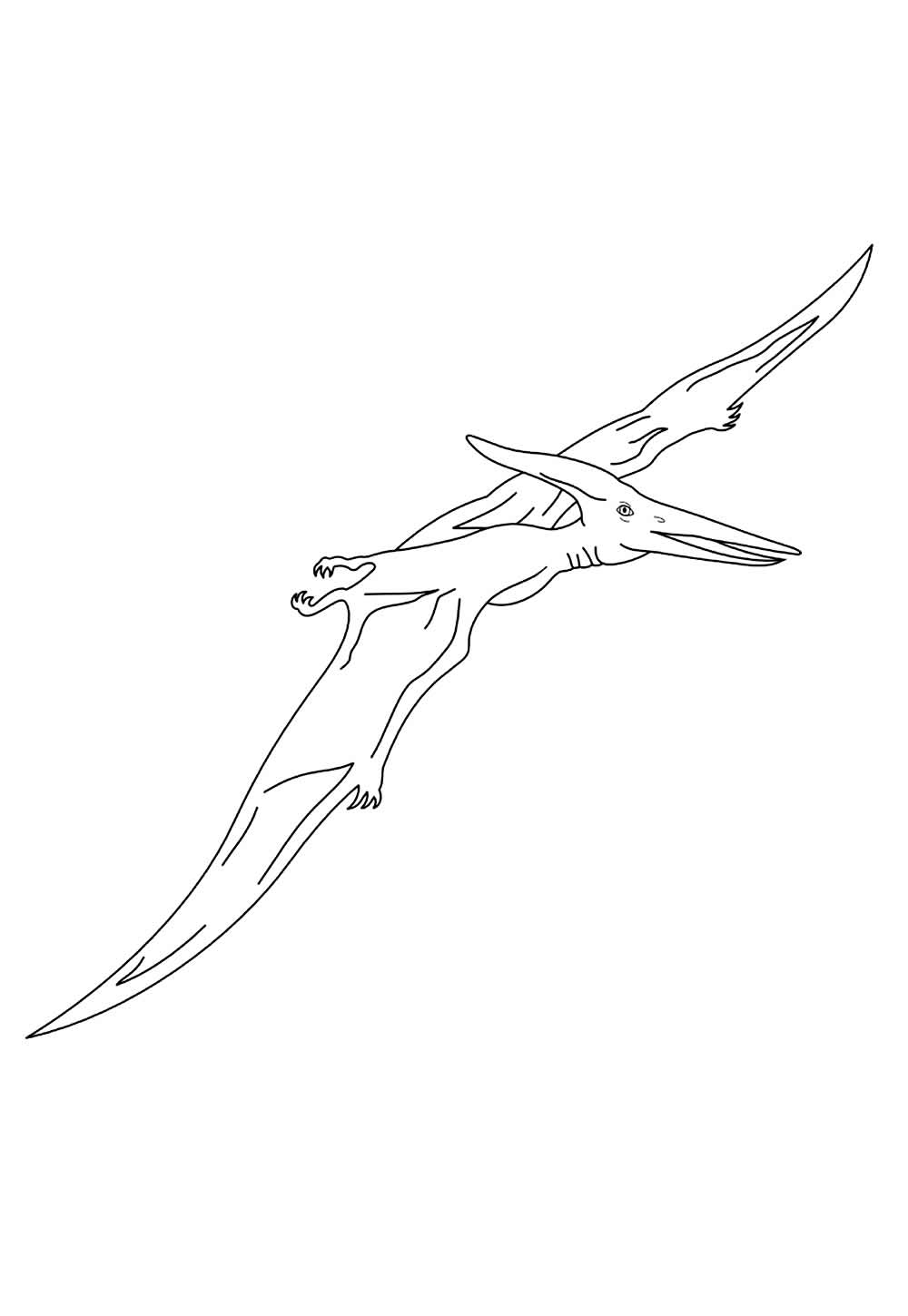 Desenho de Pterodáctilo