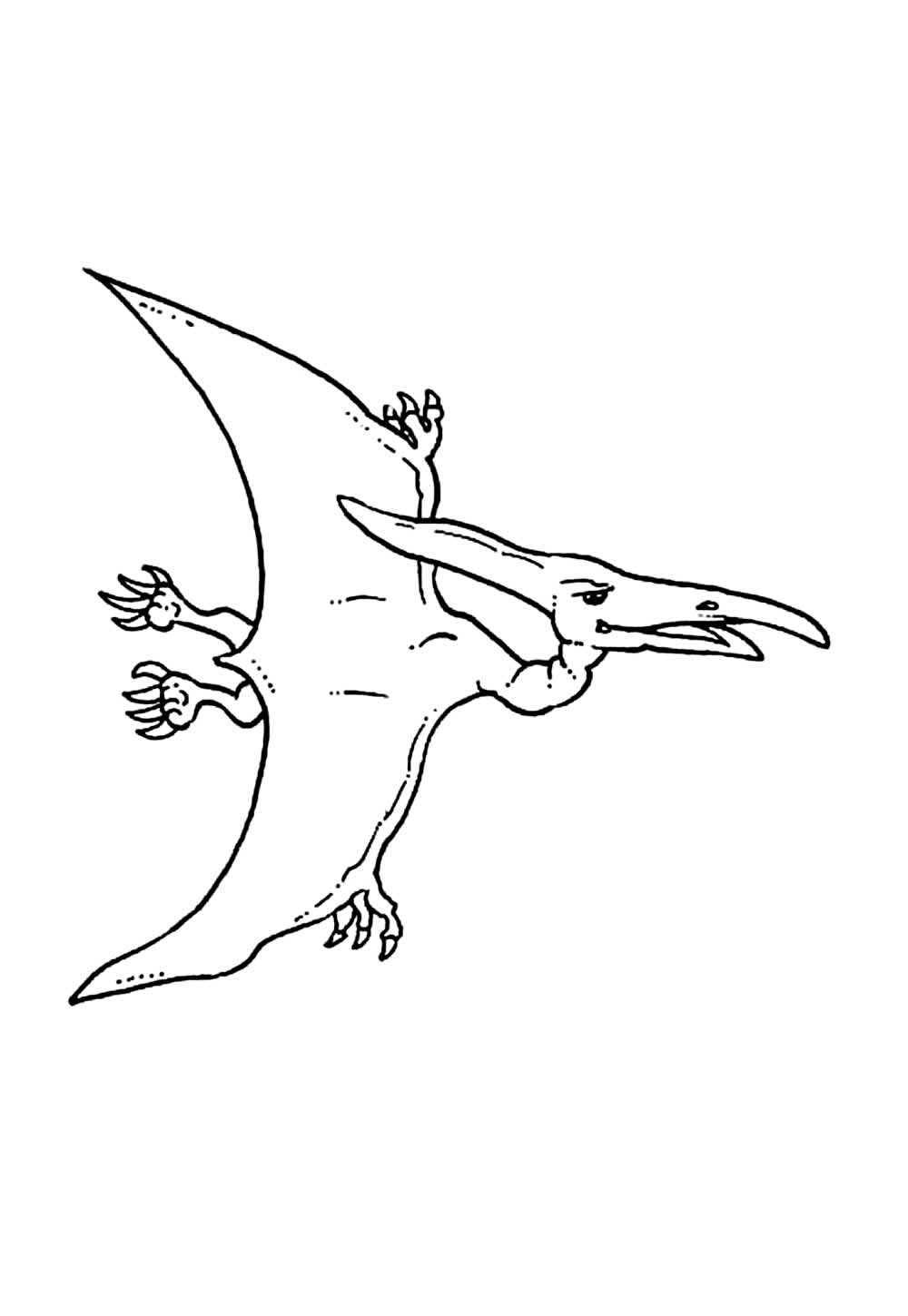 Desenho de Pterodáctilo para colorir
