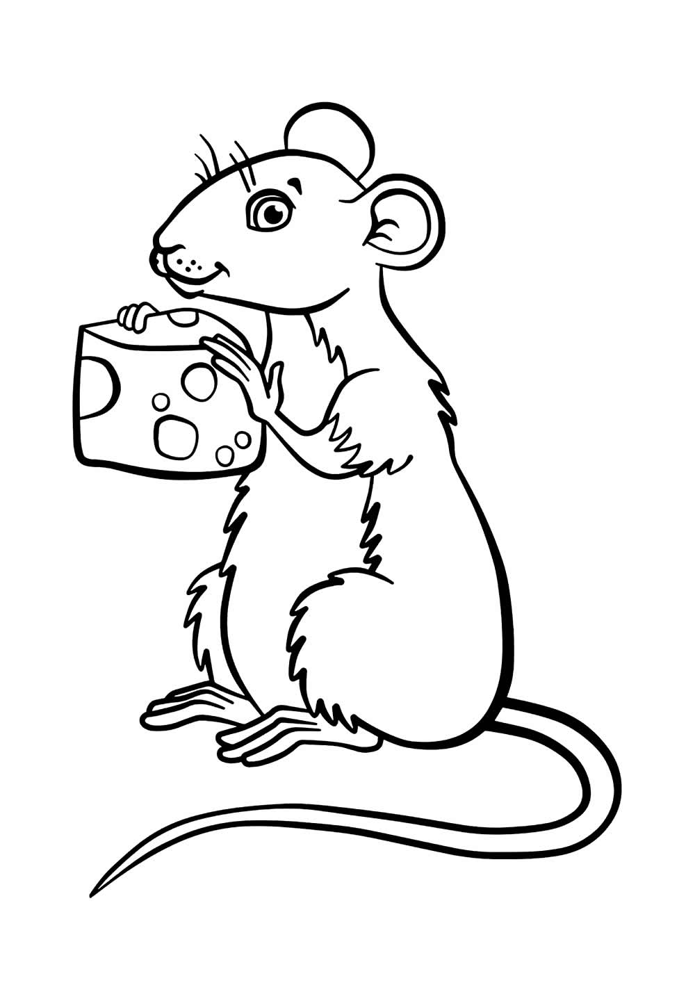 Desenho de Rato para colorir