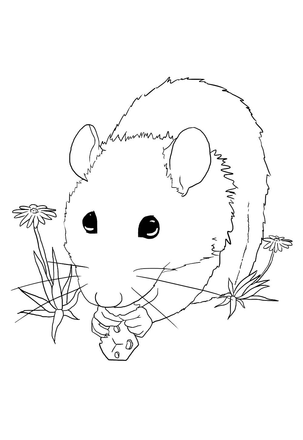 Rato para colorir