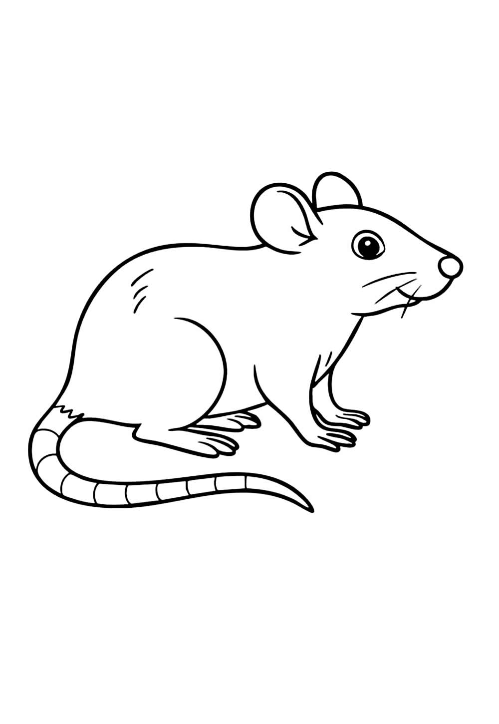 Desenho de Rato para colorir