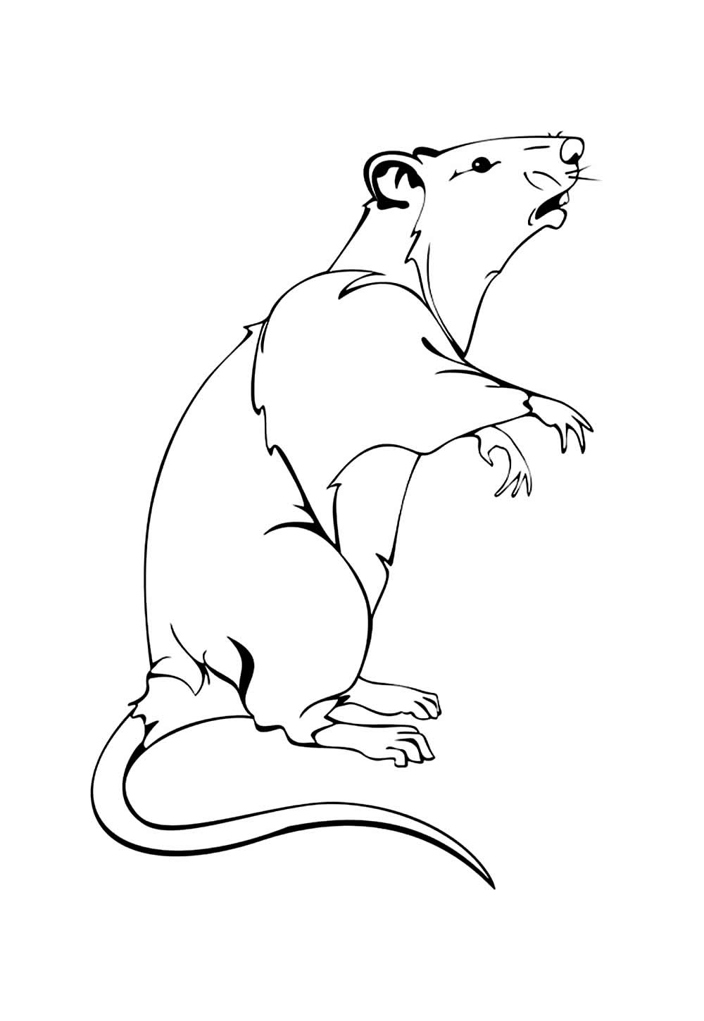 Desenho de Rato para colorir