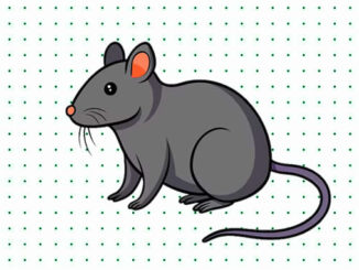 Desenhos de Rato para colorir