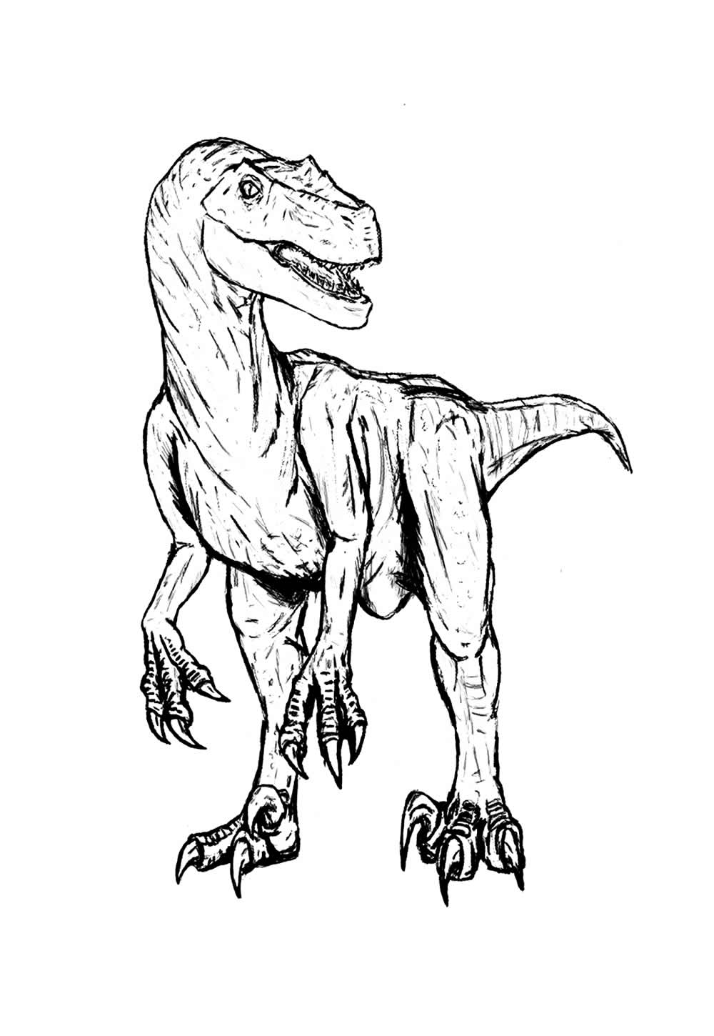 Desenho de Dinossauro Velociraptor