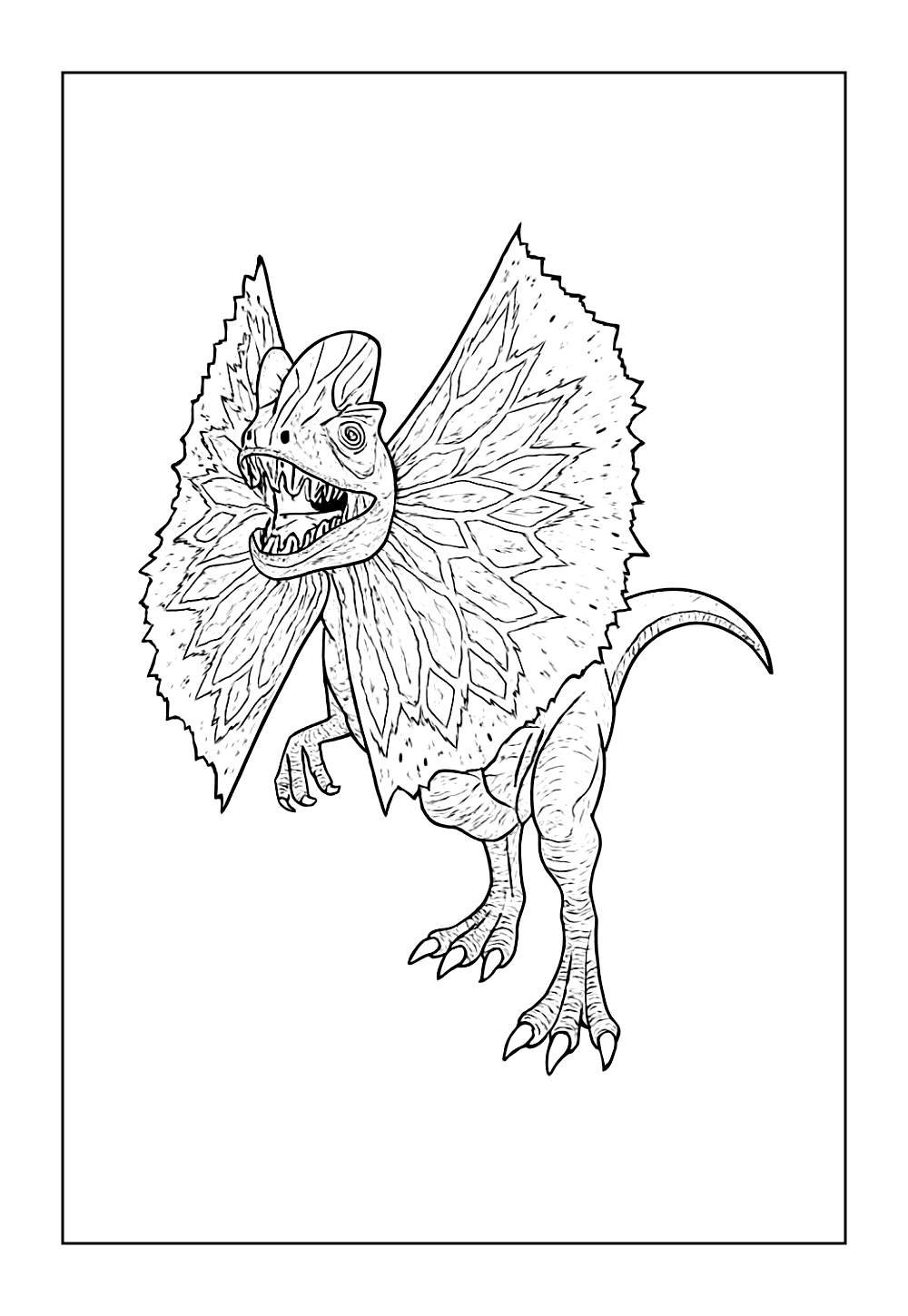 Desenho para Colorir do Dilofossauro