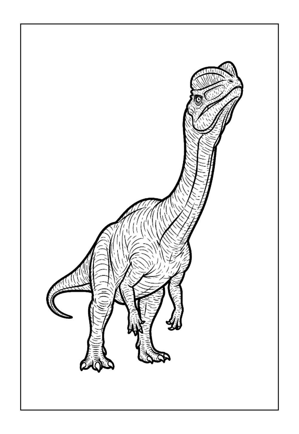 Dinossauro Dilofossauro para imprimir e colorir
