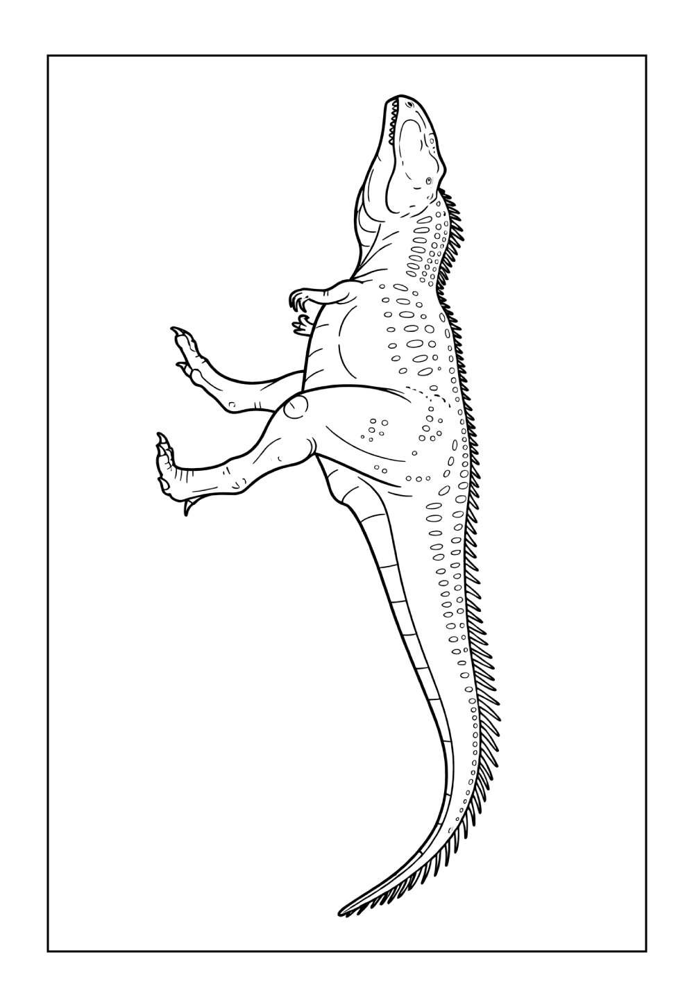 Desenhos do Dinossauro Giganotossauro para pintar